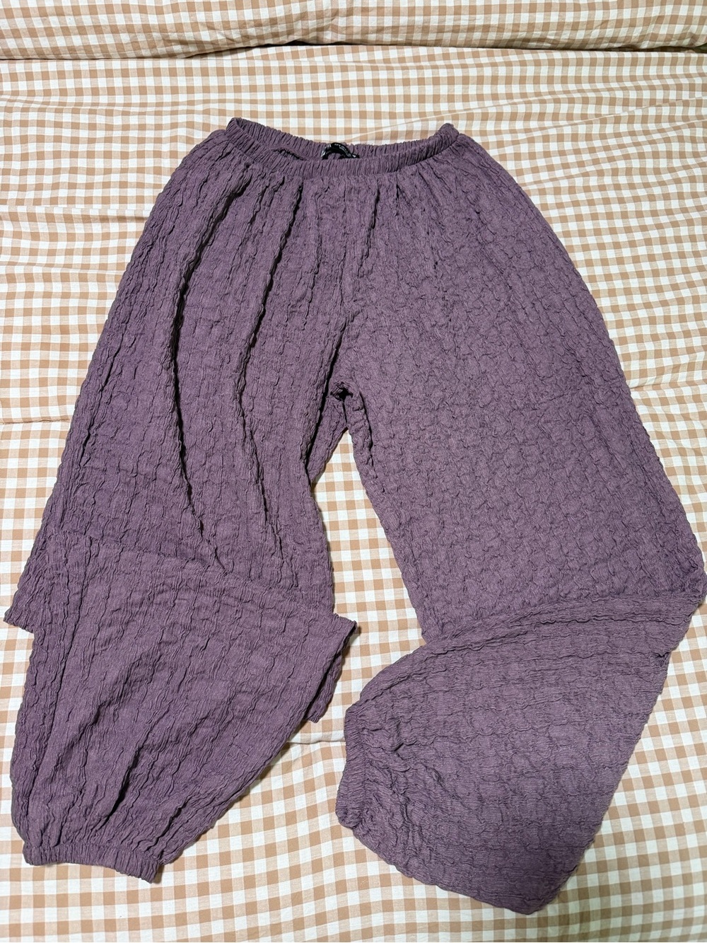 Zara Purple Textured Jogger Pants